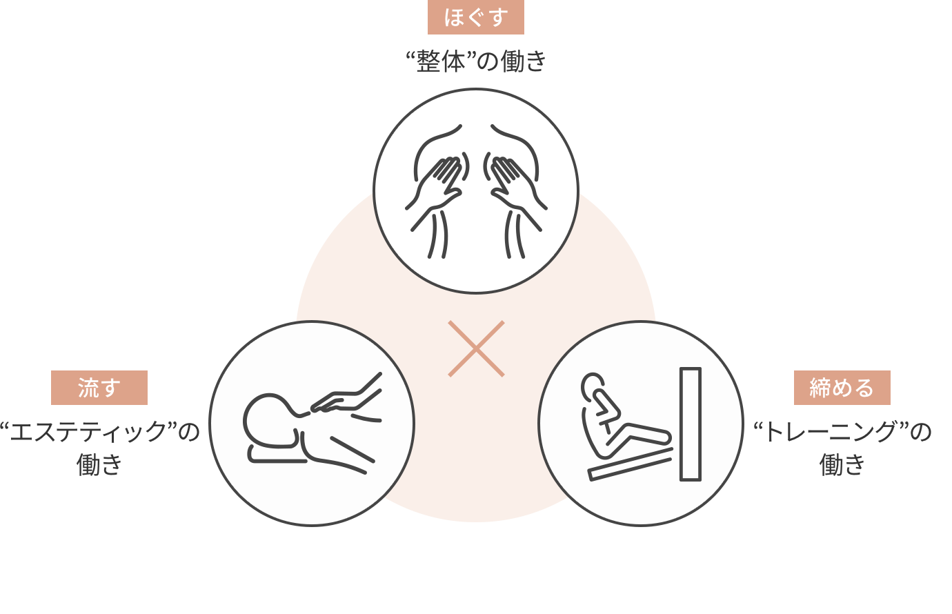 ほぐす：“整体”の働き、流す：“エステティック”の働き、締める：“トレーニング”の働き